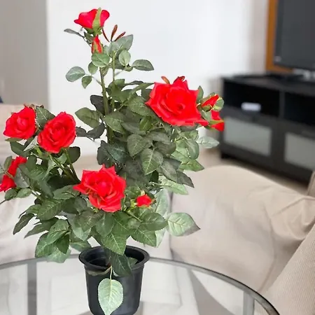 Apartmán Capella, *