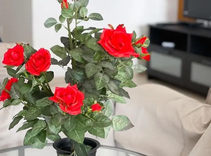 アパート Capella, *